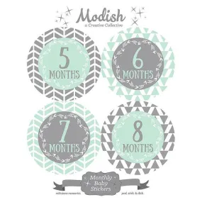 TRIBAL MONTHLY BABY STICKERS